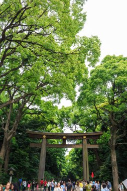 Japonya - 25 Mayıs 2014. Birçok kişi ile Torii(gate) ol içinde yürümek.