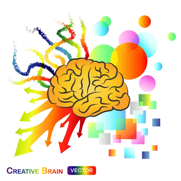 Creative , Abstract Brain — Stock Vector