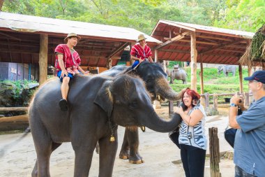 Chiangmai, Tayland - 16 Kasım: mahouts bir fil binmek ve yabancı 16 Kasım 2014 Mae Sa fil kampında Chiangmai, Tayland selamlıyorum.