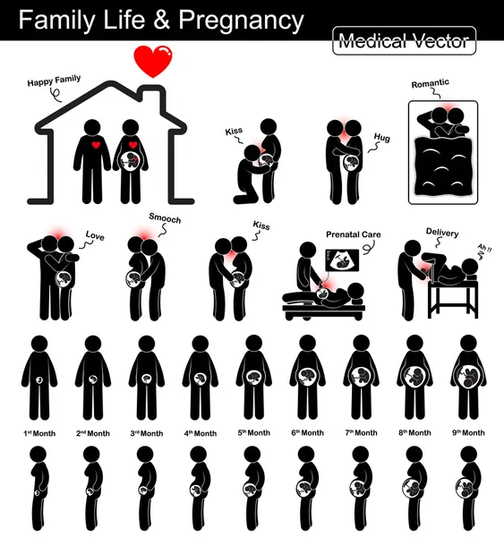 Family life during pregnancy and Fetal development ( pregnant woman and fetal growth in uterus )( step by step )( Medical , Science and Healthcare concept )( black and white , flat design , isolated ) — Stock Vector