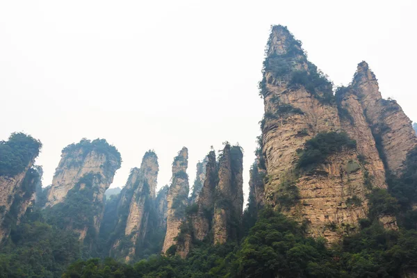 Zhangjiajie Національний парк (Тянь чжі Шань) (Tianzi відвідайте гірський заповідник) і туман, Китай — стокове фото