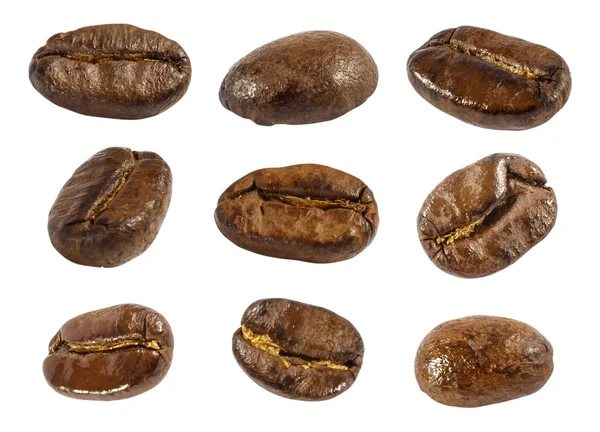 Insamling av färska rostade kaffebönor (på nära håll) (isolera bakgrund ) — Stockfoto
