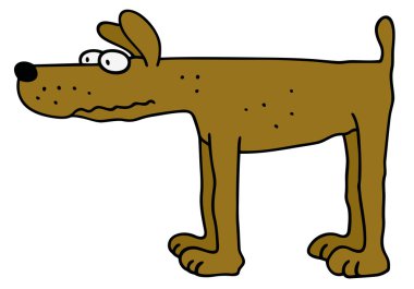 Sarı bir köpek komik