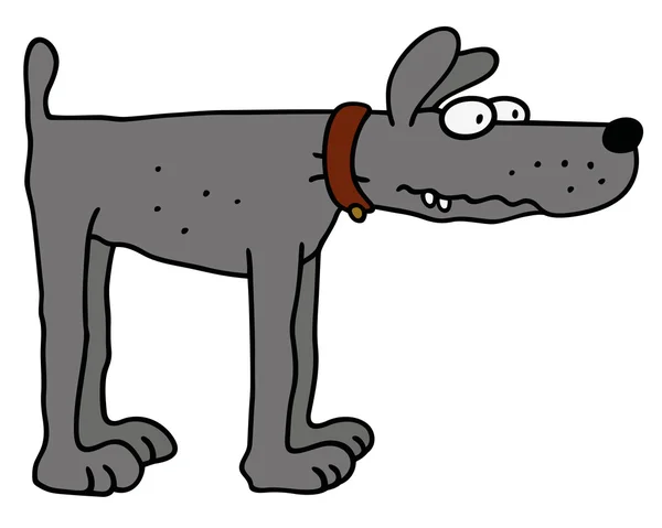 Funny šedý pes — Stockový vektor