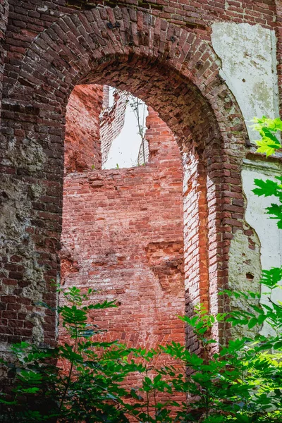 Abandoned mansion, summer, russia, leningrad region, gostilitsy village — Stock Photo, Image