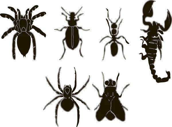 Vector - Conjunto de iconos de insectos en blanco y negro — Archivo Imágenes Vectoriales