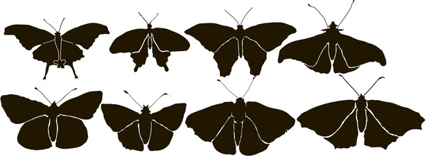 Set Butterflys Silueta Vector — Archivo Imágenes Vectoriales