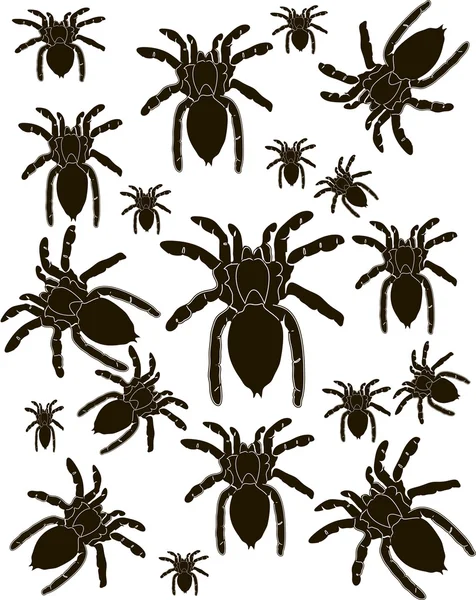 Set örümcekler siluet vektör — Stok Vektör