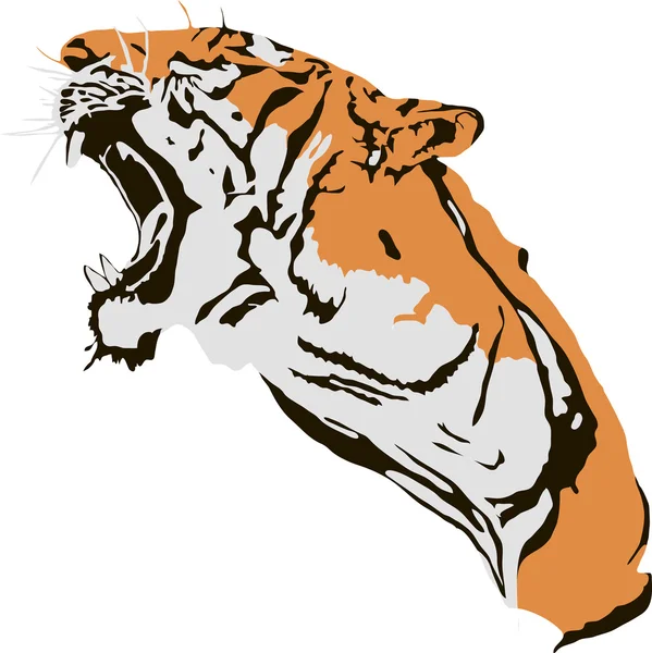 Tiger — Stock vektor