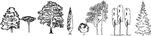 Silhouettes d'arbres vecteur — Image vectorielle