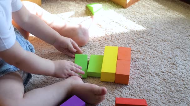 Baby girl sits on the floor and puts colorful figures in a row. — Stock Video