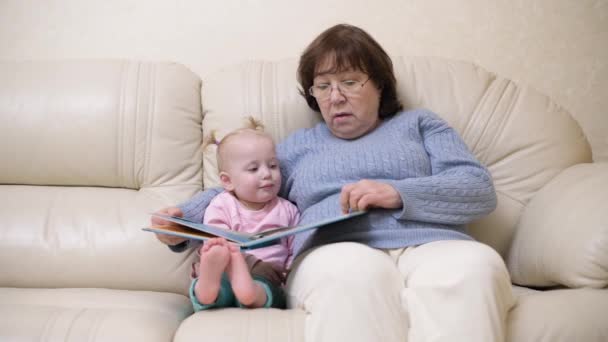 Grand-mère et petite-fille envisagent un livre pour enfants — Video