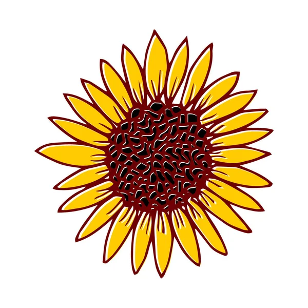 Hand Drawn Sunflower Head Yellow White Background Botanical Floral Vector — 图库矢量图片
