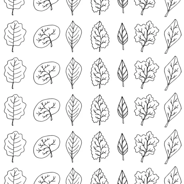 Seamless Pattern Hand Drawn Elegant Leaves Isolated Black White Background — Stock Vector