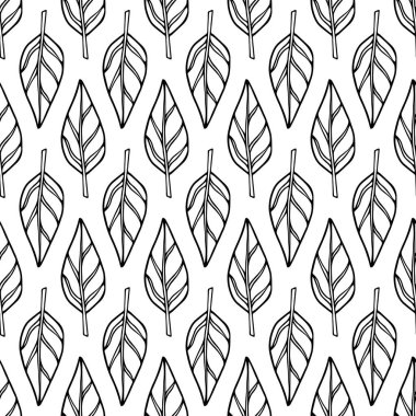 Kusursuz el çizimi zarif ağaç yaprakları beyaz arka planda siyah izole edilmiş. Vektör illüstrasyonu