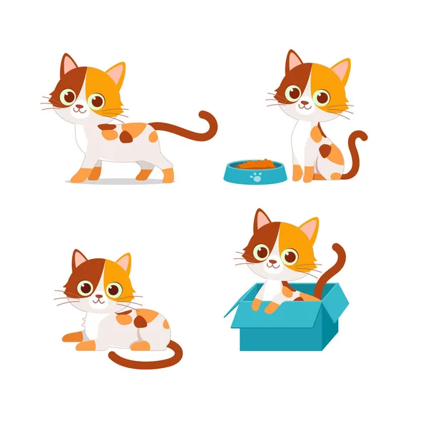 Animal Estimação Gato Bonito Jogando Pose Estilo Set Bundle — Vetor de Stock