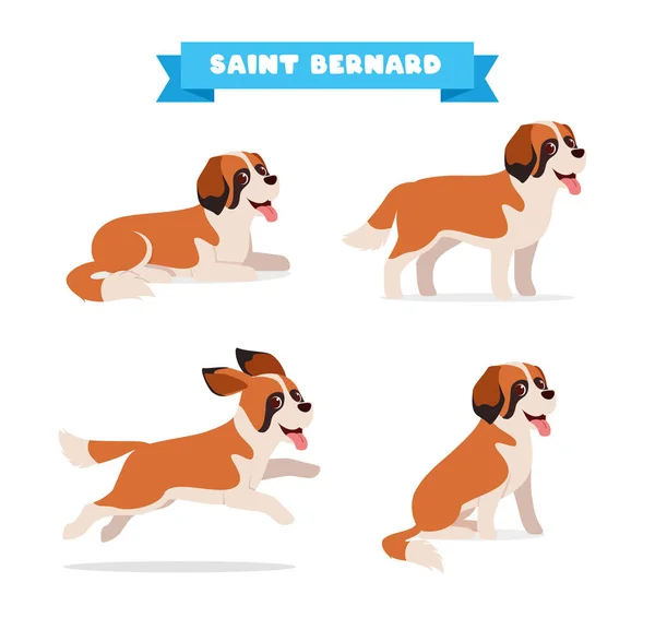 Niedliche Saint Bernard Hund Tier Tier Mit Vielen Pose Bündel — Stockvektor