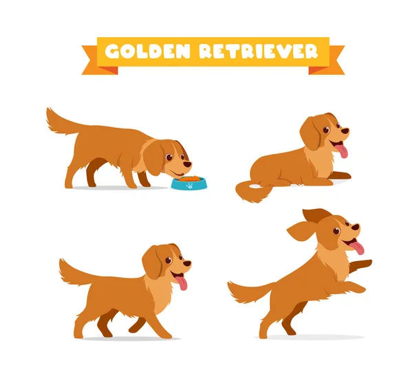 Söt Golden Retriever Hund Djur Husdjur Med Många Pose Bunt — Stock vektor