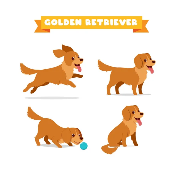 Aranyos Golden Retriever Kutya Állat Állat Sok Pózol Csomag Készlet — Stock Vector