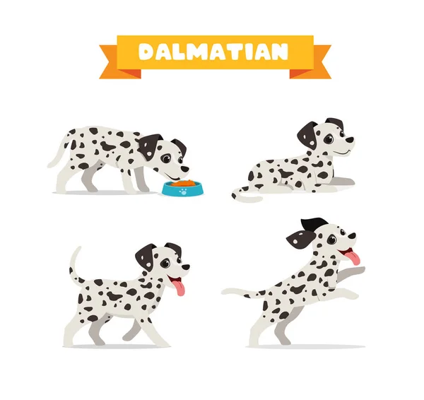 Lindo Perro Dálmata Animal Mascota Con Muchos Paquete Pose Conjunto — Archivo Imágenes Vectoriales