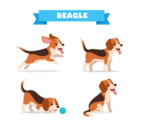 Lindo Beagle Perro Animal Mascota Con Muchos Pose Paquete Conjunto — Archivo Imágenes Vectoriales