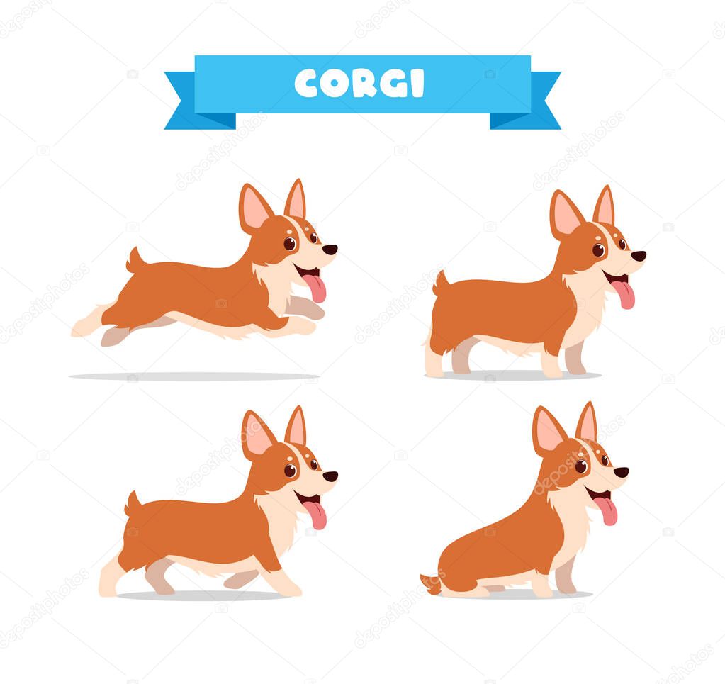 cute corgi dog animal pet with many pose bundle set