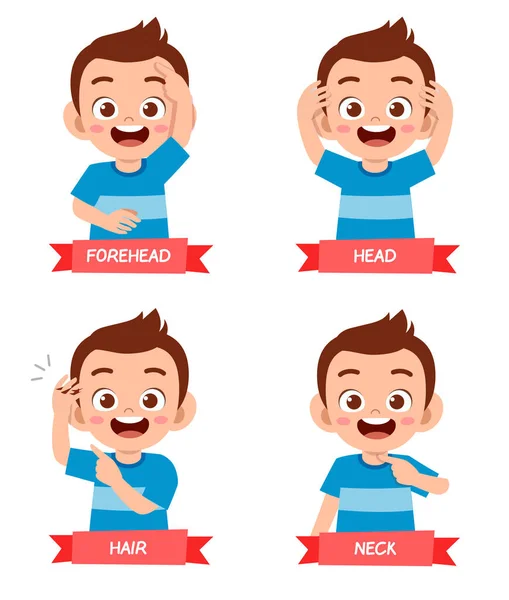 Happy Cute Kid Boy Body Part Anatomy Stock Vector Image By