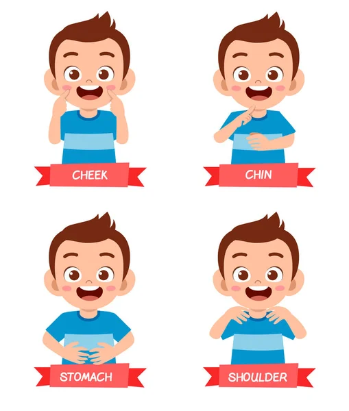 Feliz Lindo Niño Estudio Cuerpo Parte Anatomía — Vector de stock