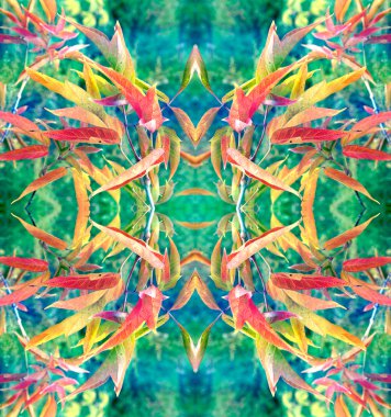  yaprakların soyut bir desen