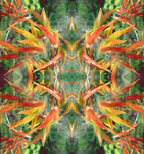 Patrón floral abstracto brillante para la decoración —  Fotos de Stock