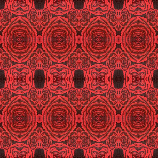 Abstract pattern of roses — Stock Photo, Image