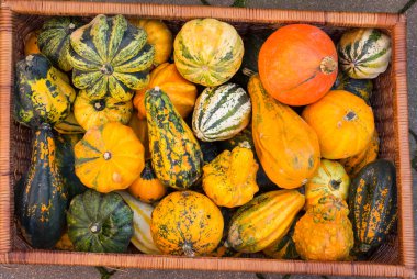 çeşitli pumpkins ile dolu sepet