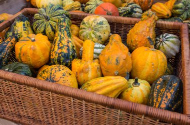 çeşitli pumpkins ile dolu sepet