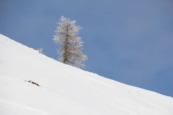 Paisaje de invierno en Mt. Dobratsch. —  Fotos de Stock