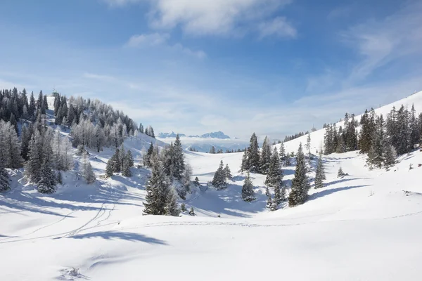 Paisaje de invierno en Mt. Dobratsch. — Foto de Stock