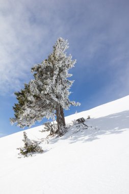 Kış manzara Mt. Dobratsch