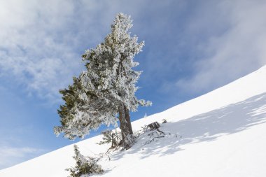 Kış manzara Mt. Dobratsch