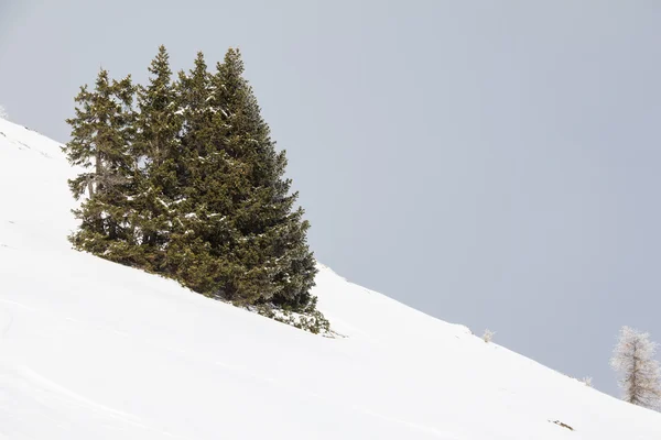 Paisaje de invierno en Mt. Dobratsch. — Foto de Stock