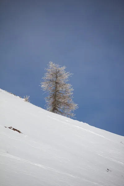 Paisaje de invierno en Mt. Dobratsch. — Foto de Stock