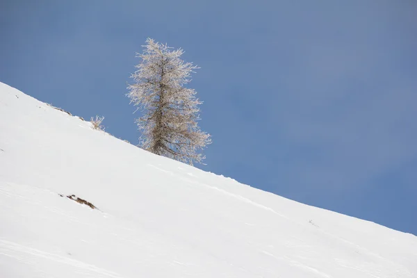 Paysage hivernal au Mt. Dobratsch — Photo