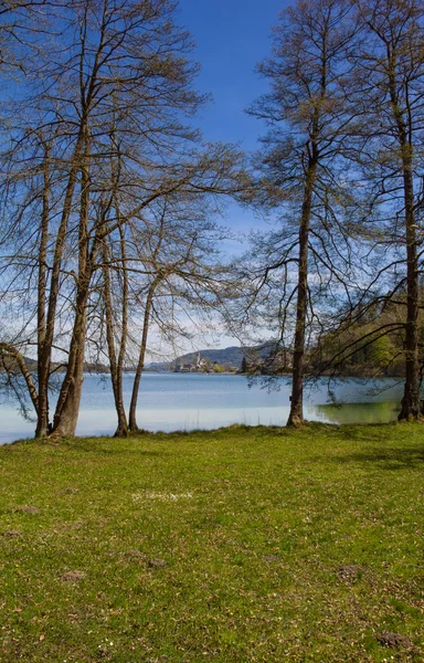 Seeblick auf Maria Woerth durch die Bäume im Frühling — Stockfoto