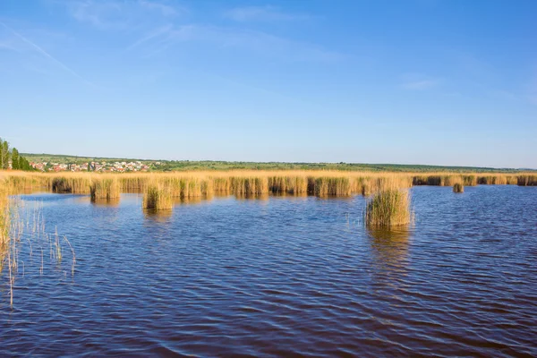 Strand in Mörbisch am Neusiedler See in Österreich — Stockfoto