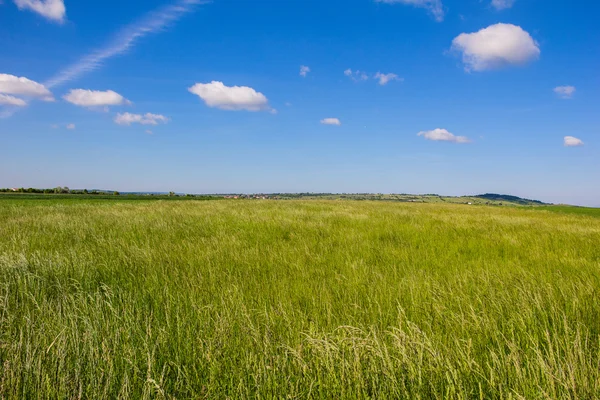 Beautiful Landscape Green Corn Field With Blue Cloudy Sky — Stock Photo, Image