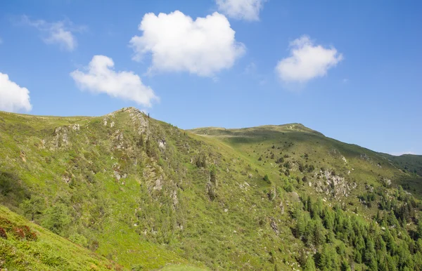 View To Top Of Mt. Mirnock 2.110m — Stock Photo, Image