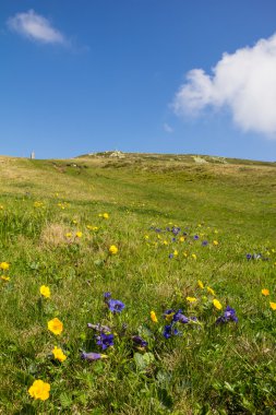 Çiçek Dağı Mirnock 2,110 m üst giderken alan