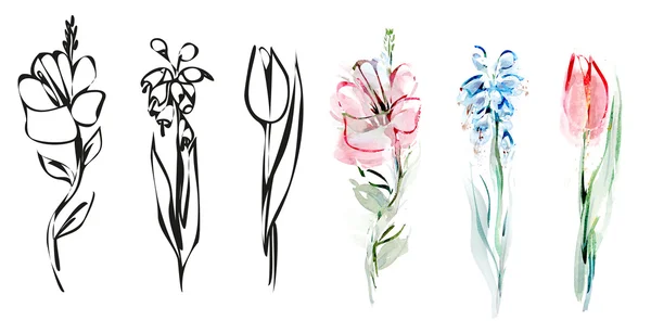 봄 꽃의 색깔 묘사 — 스톡 사진