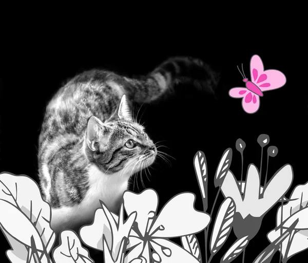 Chat et fleurs croquis — Photo