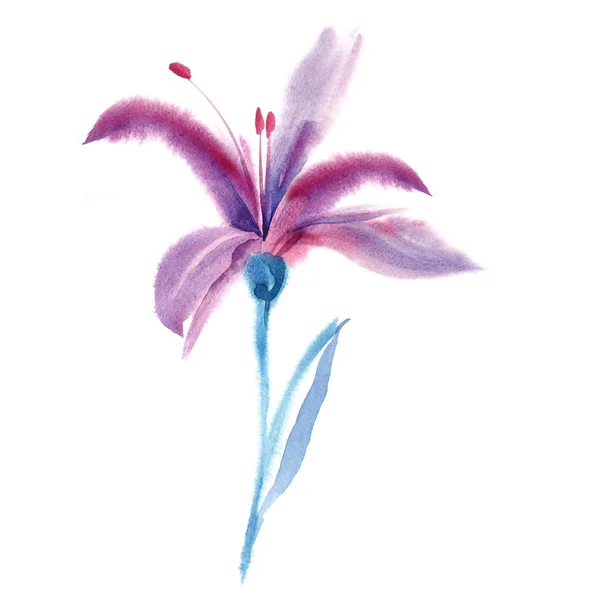 Watercolor Purple Lily — Stock Photo, Image