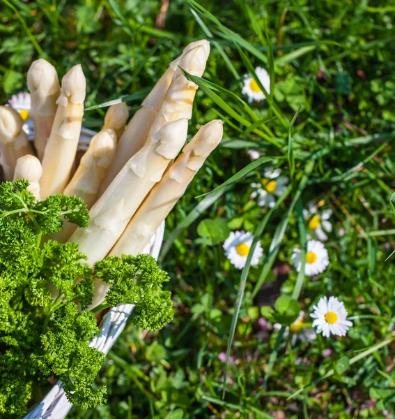 Asperges in een mand — Stockfoto