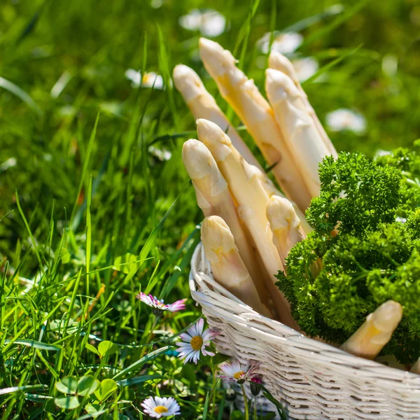 Asperges in een mand — Stockfoto